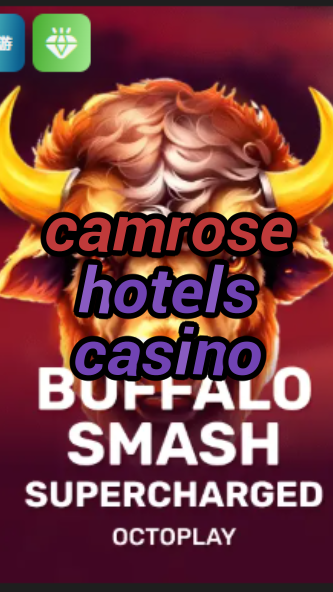 camrose hotels casino-w4cy2mdjlx2bf.com